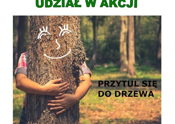 Przytul się do drzewa