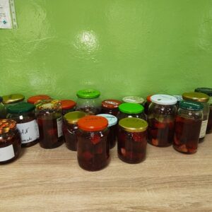 Przygotowania do zimy