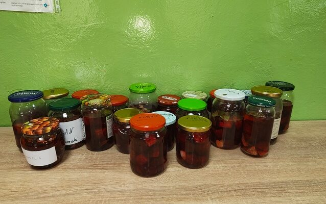 Przygotowania do zimy